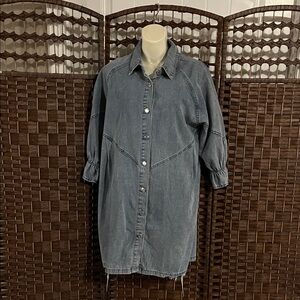 Denim Button-Up Dress